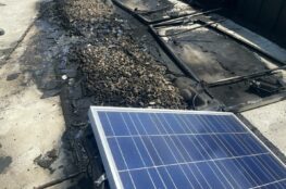 Solarmodule