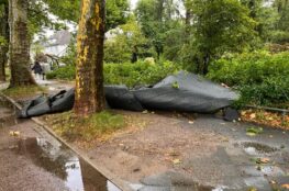 Durch UNAI Abgedecktes Flachdach