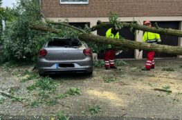 Der durch UNAI Umgestürzte Baum wird beseitigt.