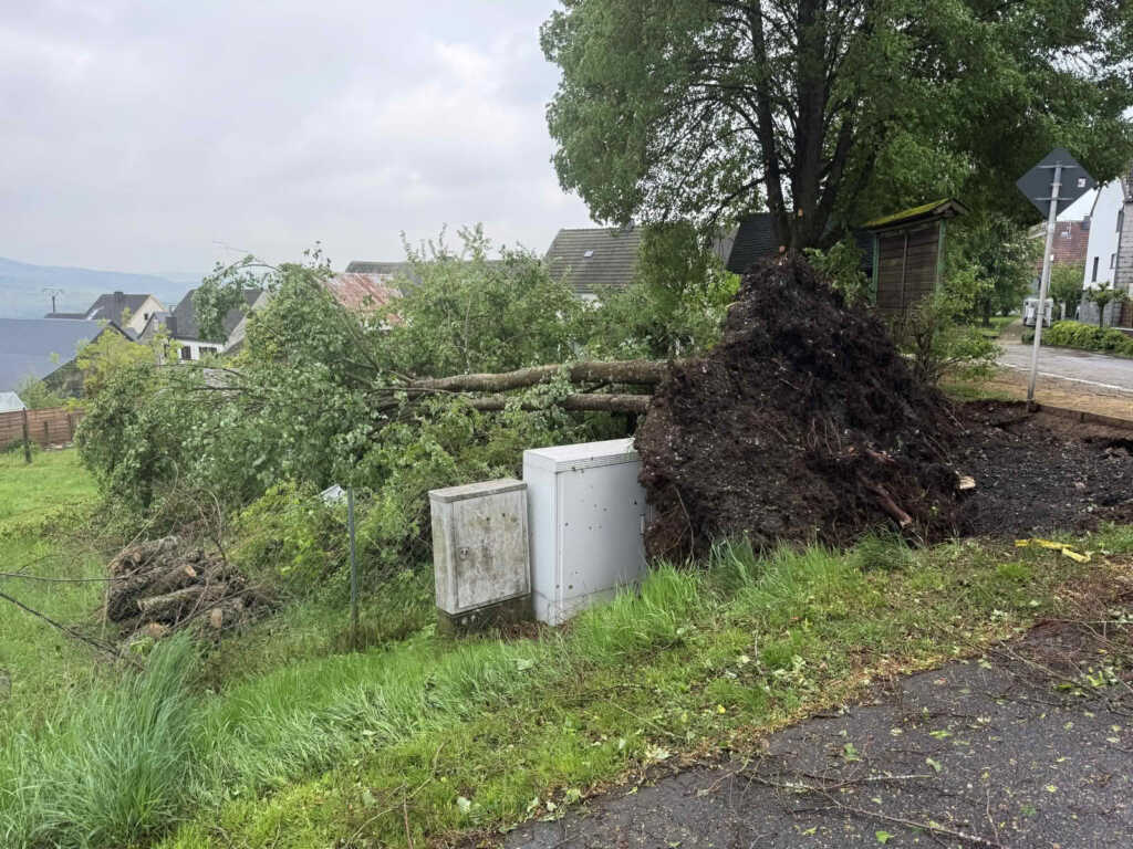 Entwurzelter Baum in der Ortslage Berzhahn.