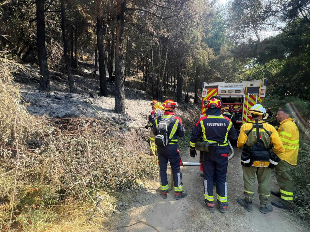 Deutsche Feuerwehren bei Waldbrand in Spanien