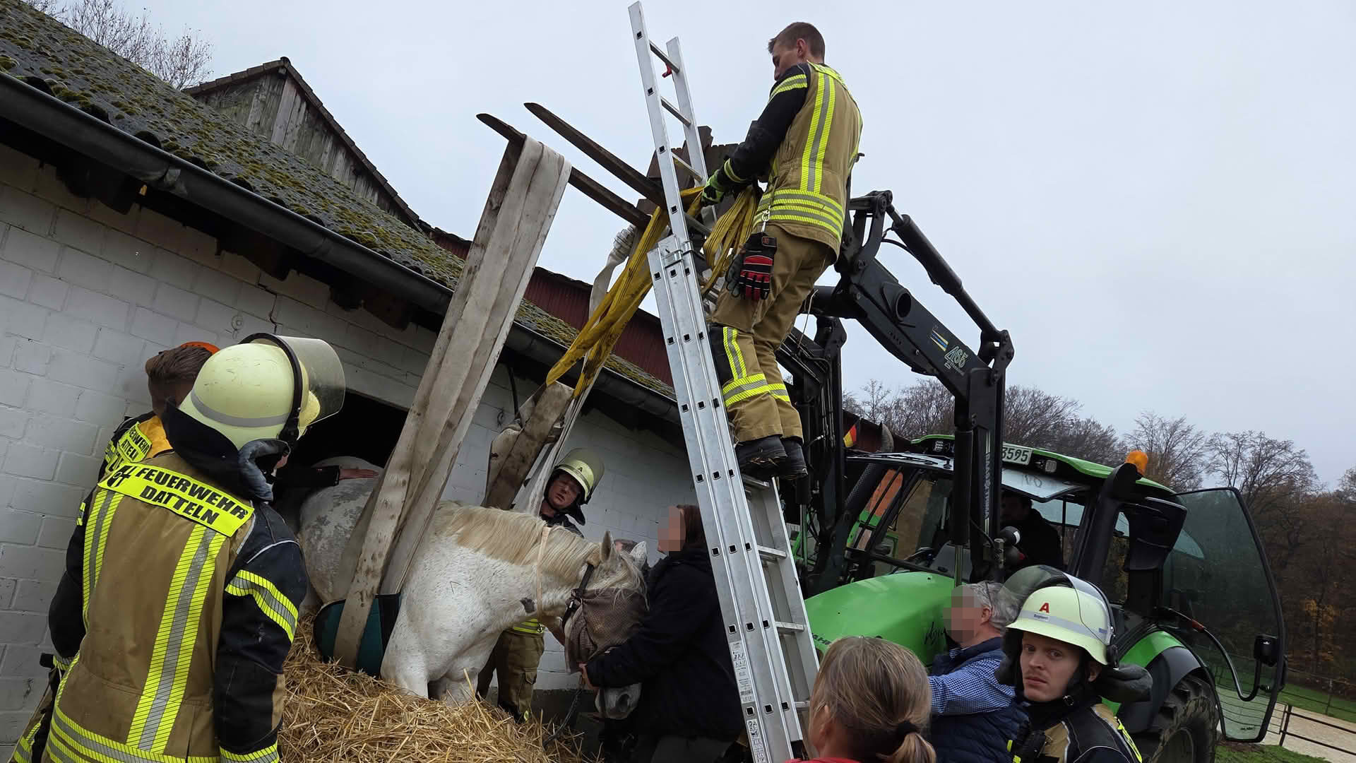 Pferd „Pirat“ versucht Flucht durch Stallfenster