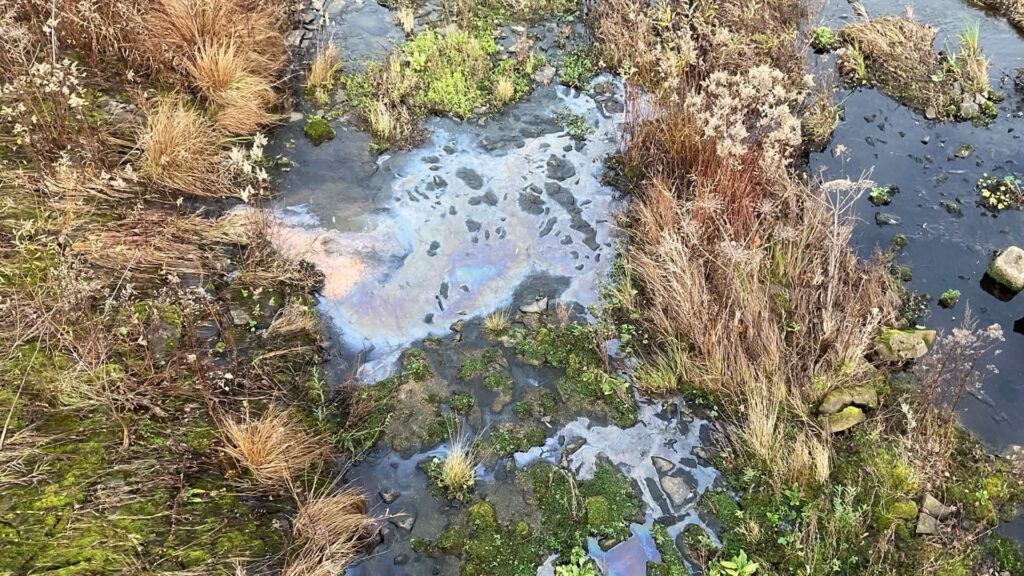 Kahmhaut - Verunreinigung auf Gewässer