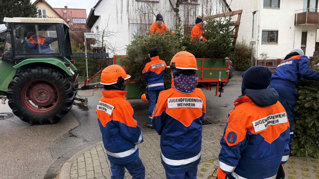 Sobald der Traktor wie hier in der Kleiststraße Sulzbach kam, wurden die an der Sammelstelle gesammelten Christbäume schnell aufgeladen