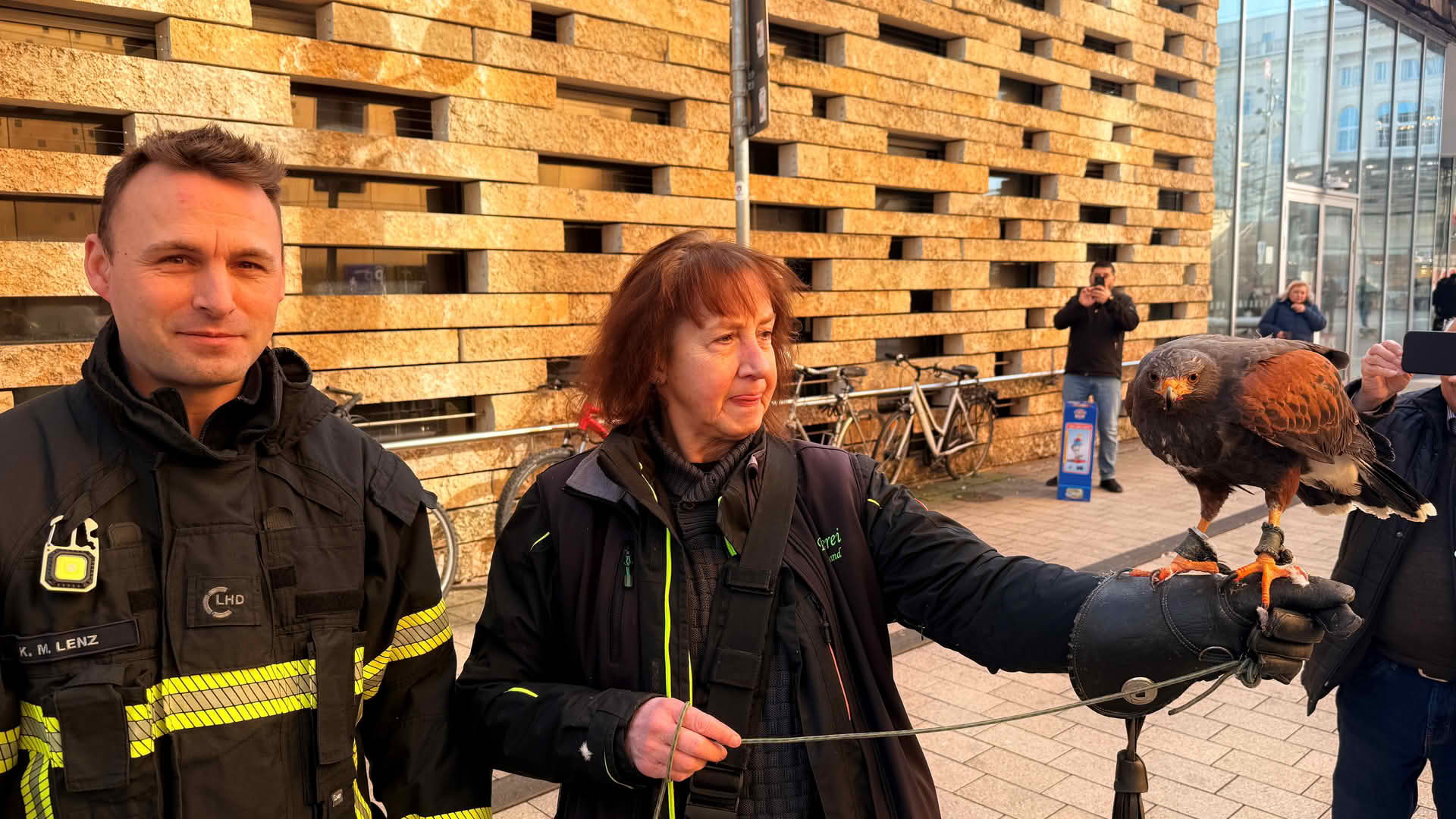 Bussard mit Arbeitsunfall