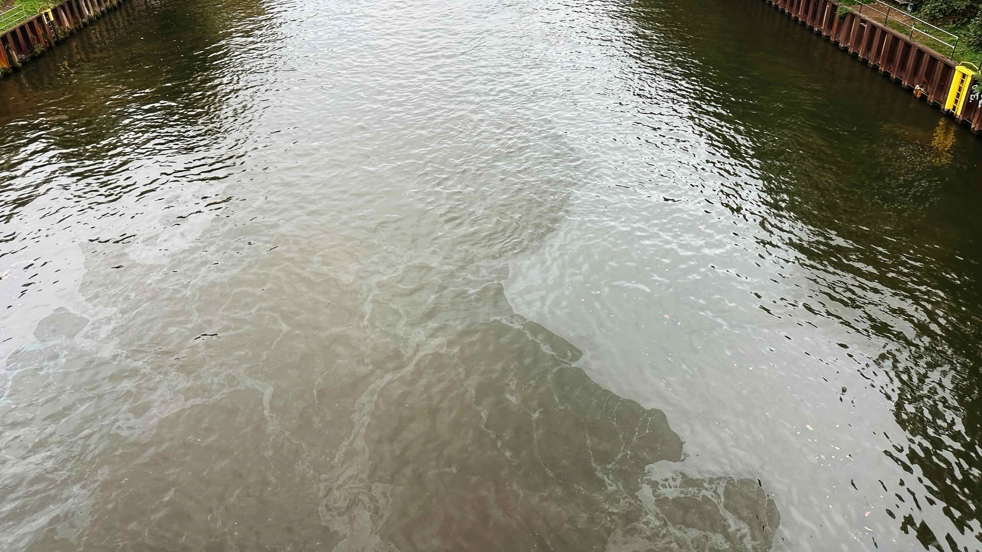 Ölverschmutzung auf dem Rhein-Herne-Kanal